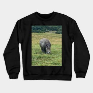 Rhino Crewneck Sweatshirt